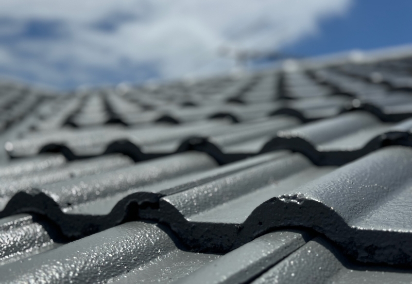 Untitled design – 2025-03-27T170655.678 Roof Painting Services