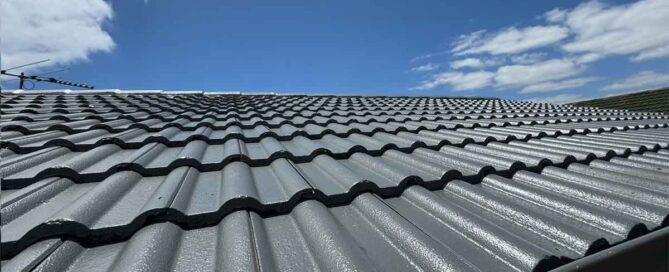 Roof Painting Adelaide Cost